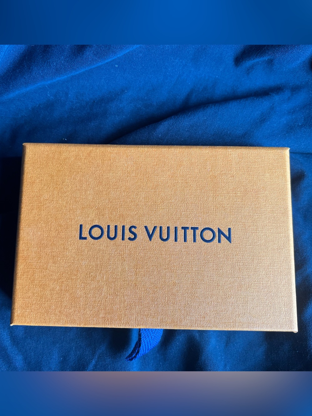 RARE! Louis Vuitton Black matte Padlock Key. BNIB